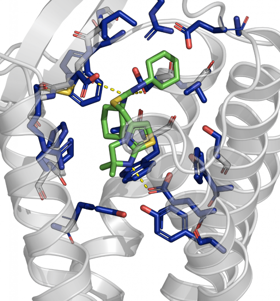 Small Molecule Docking Meiler Lab